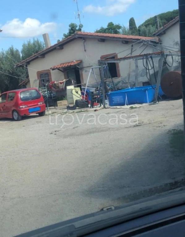 immagine annuncio 10 di 13