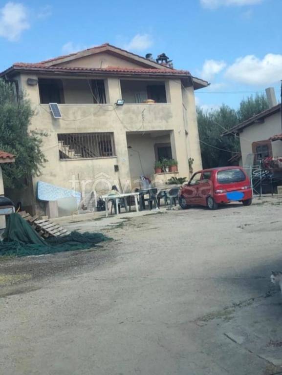 immagine annuncio 11 di 13