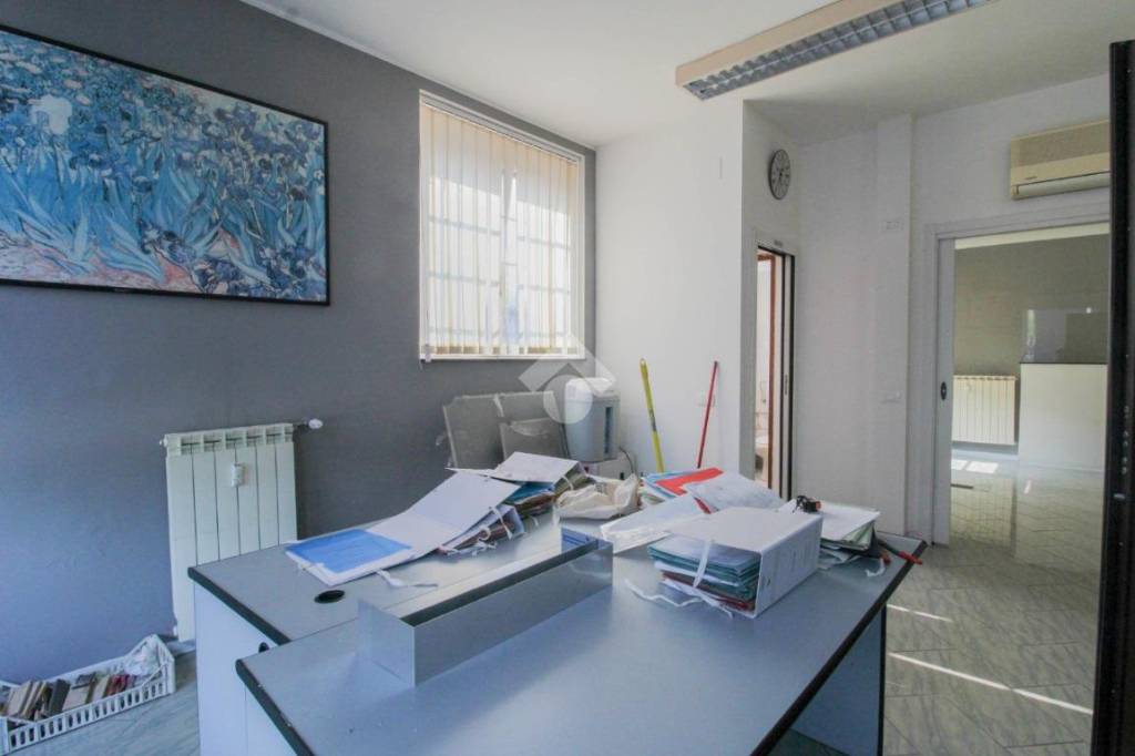 immagine annuncio 2 di 12