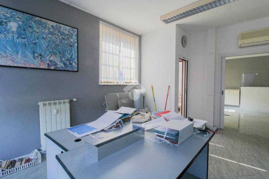 immagine annuncio 10 di 12