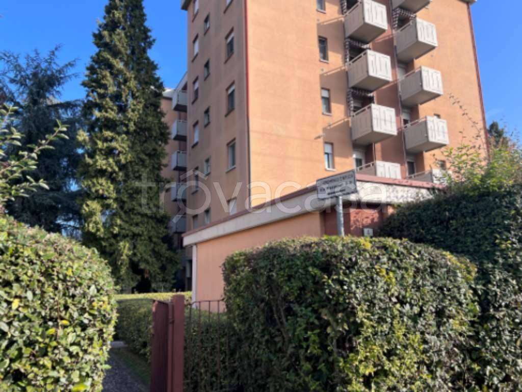 immagine annuncio 9 di 13