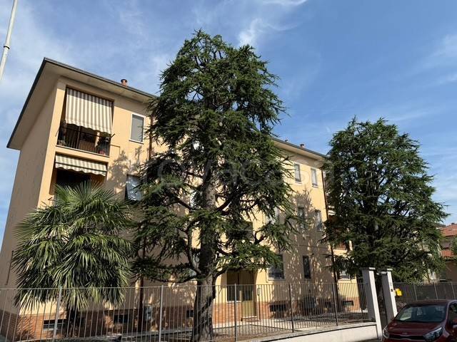 immagine annuncio 11 di 12