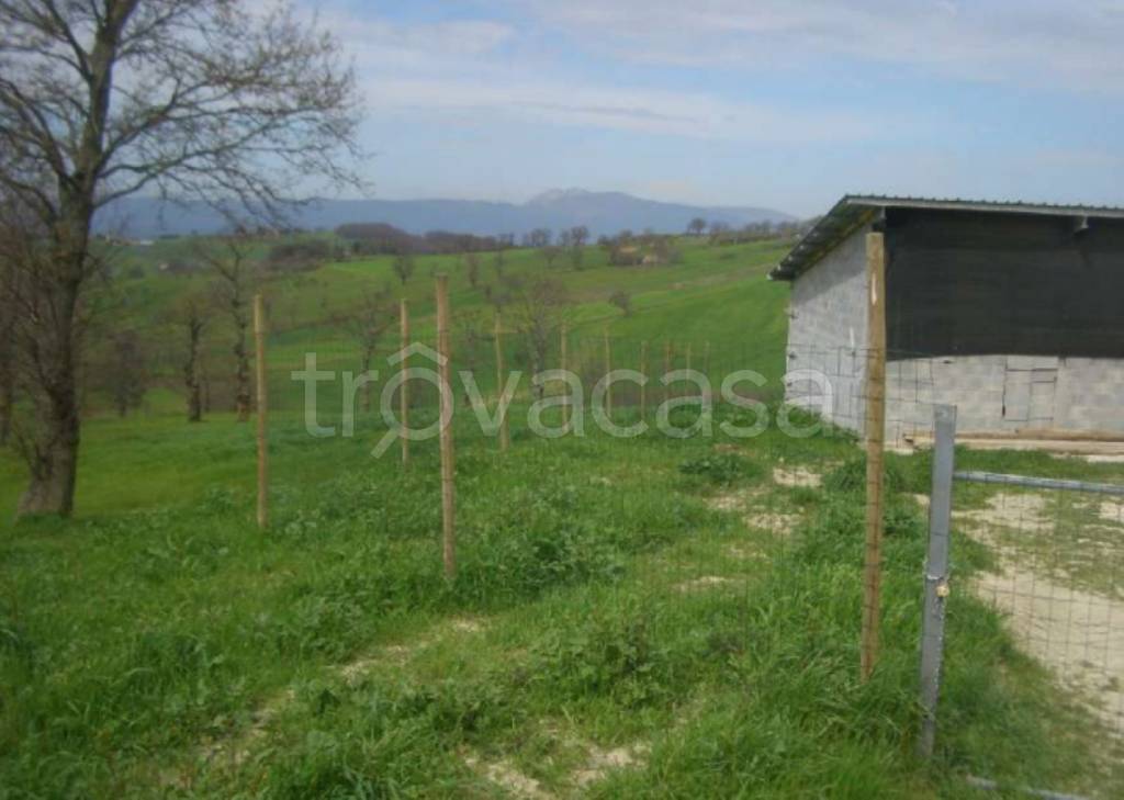 immagine annuncio 4 di 11