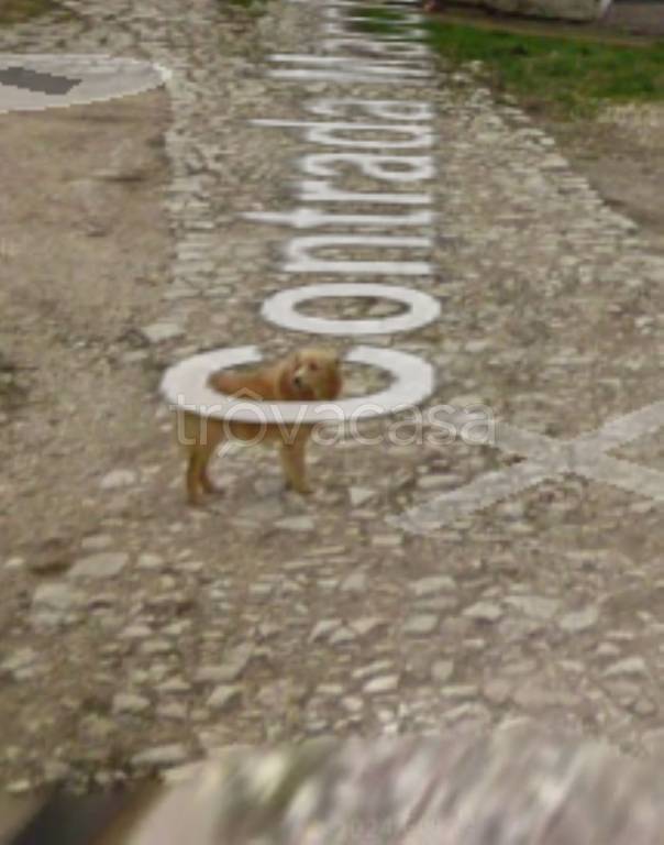 immagine annuncio 7 di 11