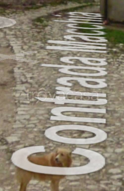 immagine annuncio 8 di 11