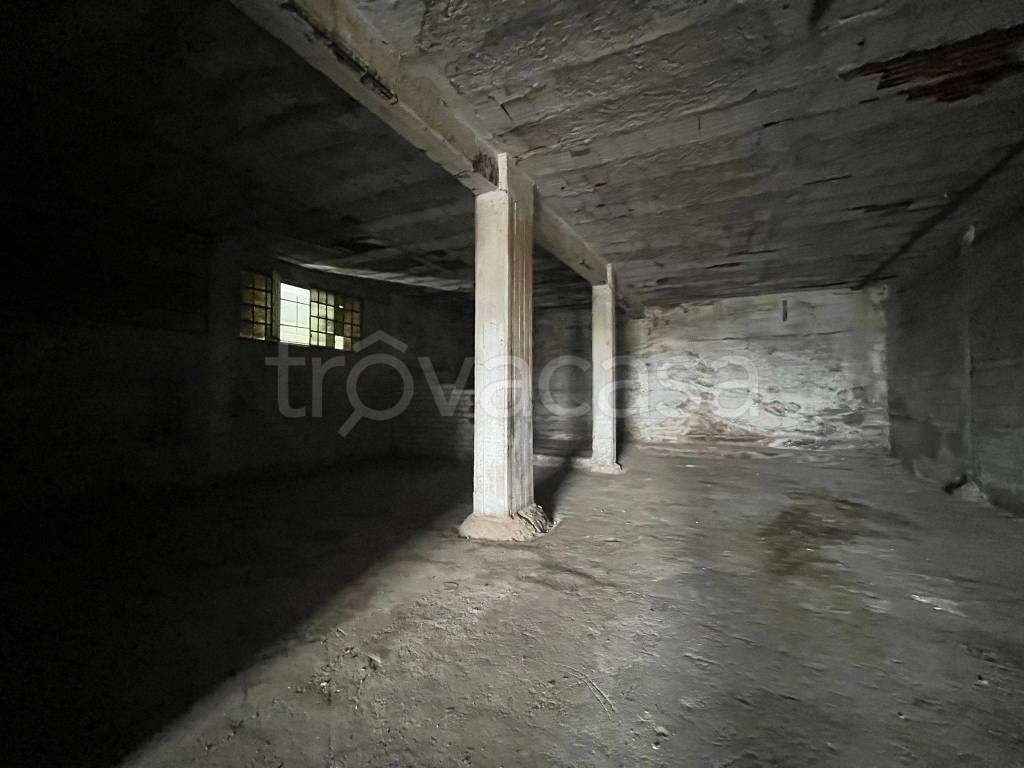 immagine annuncio 4 di 8