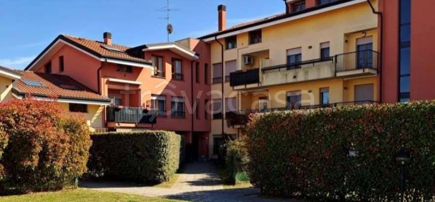 immagine annuncio 5 di 9