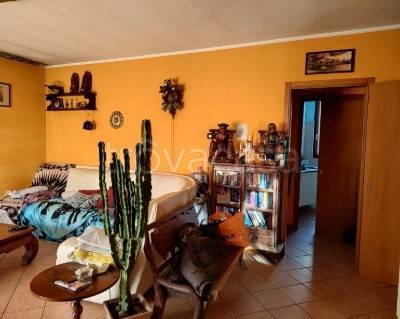 immagine annuncio 10 di 14