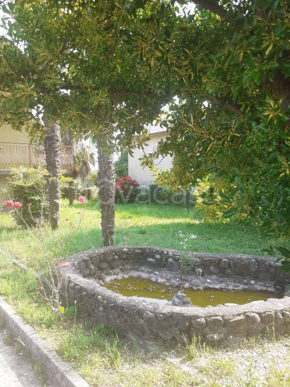 immagine annuncio 4 di 9