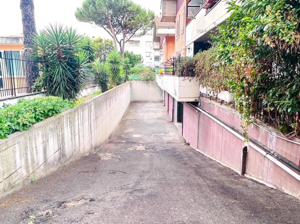 immagine annuncio 3 di 11