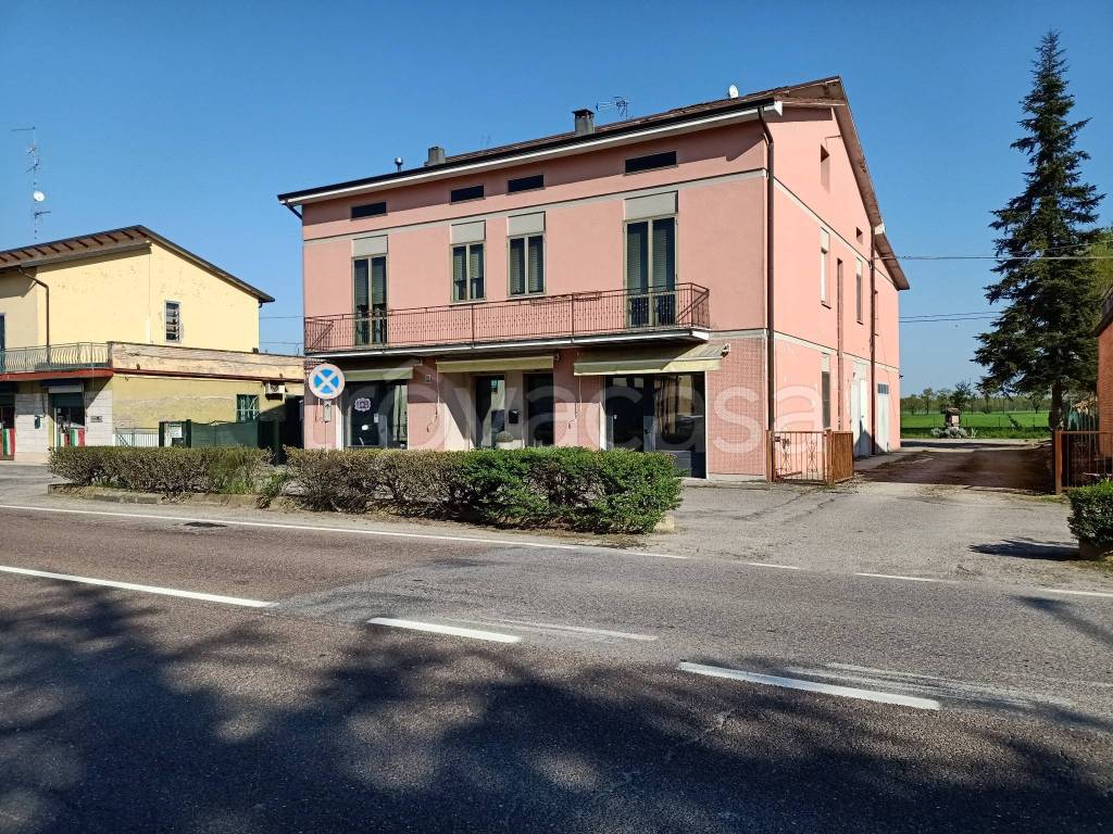 immagine annuncio 1 di 4