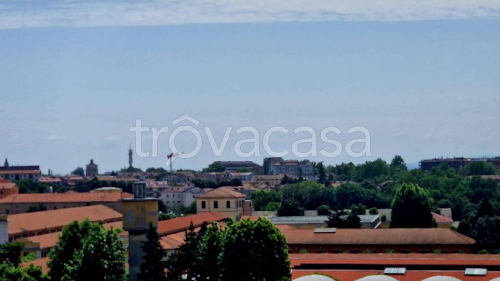 immagine annuncio 12 di 14