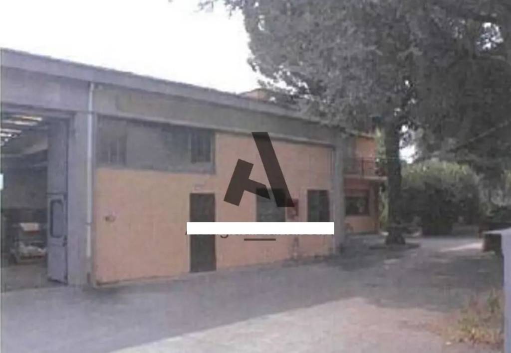 immagine annuncio 2 di 8