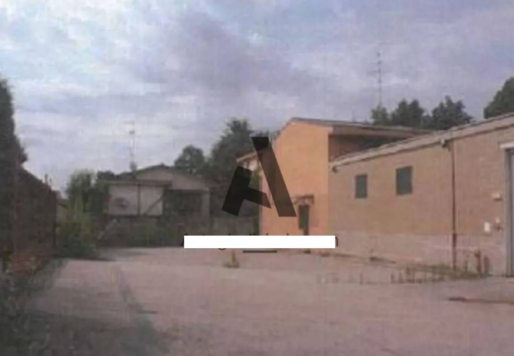 immagine annuncio 5 di 8