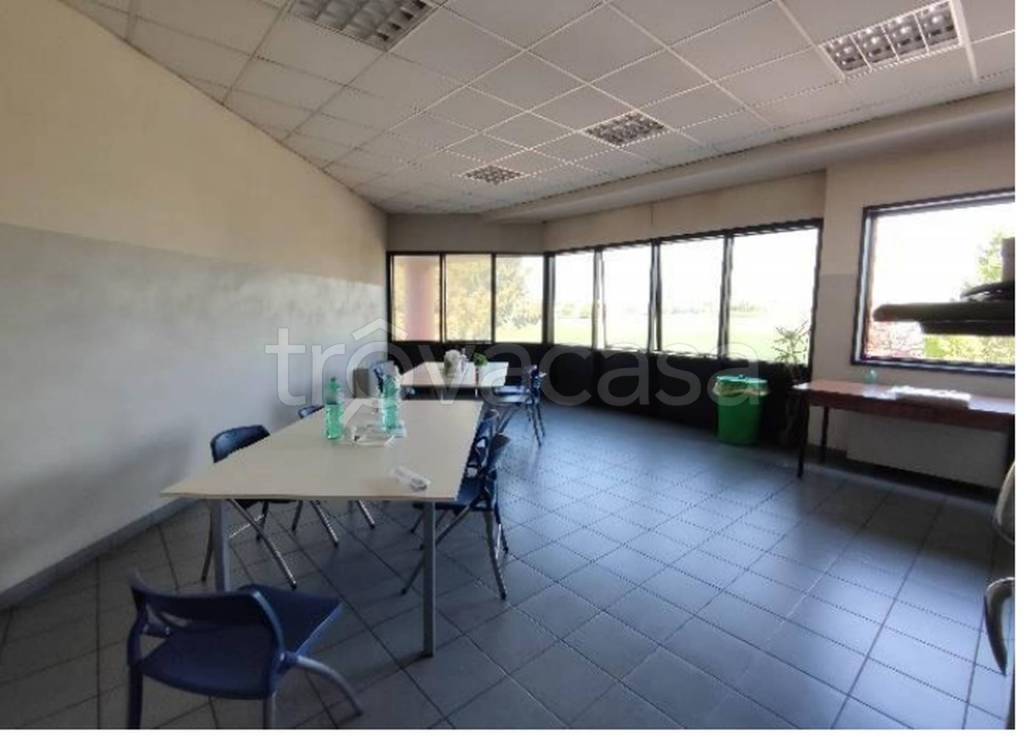 immagine annuncio 12 di 14