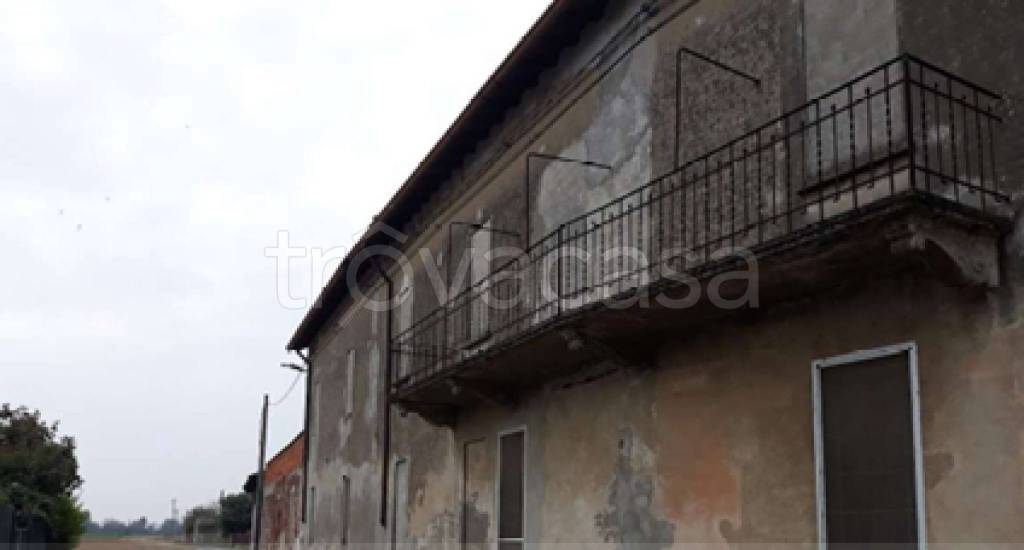 immagine annuncio 3 di 11