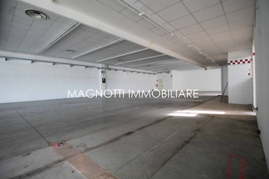 immagine annuncio 6 di 13