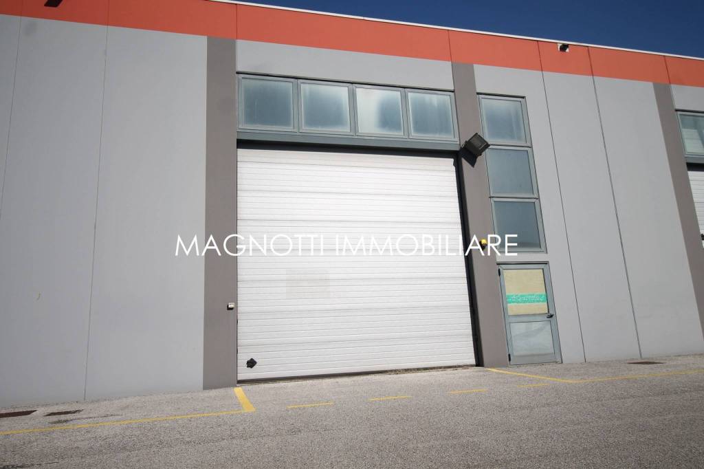 immagine annuncio 11 di 13