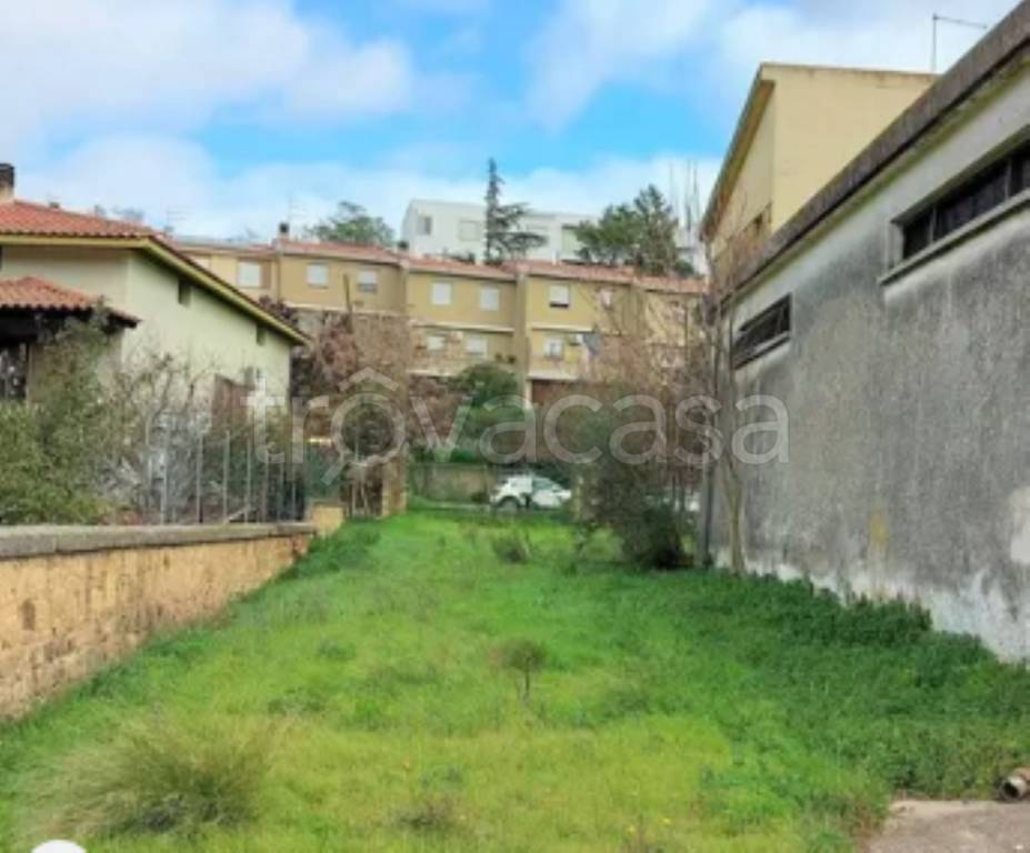 immagine annuncio 9 di 12