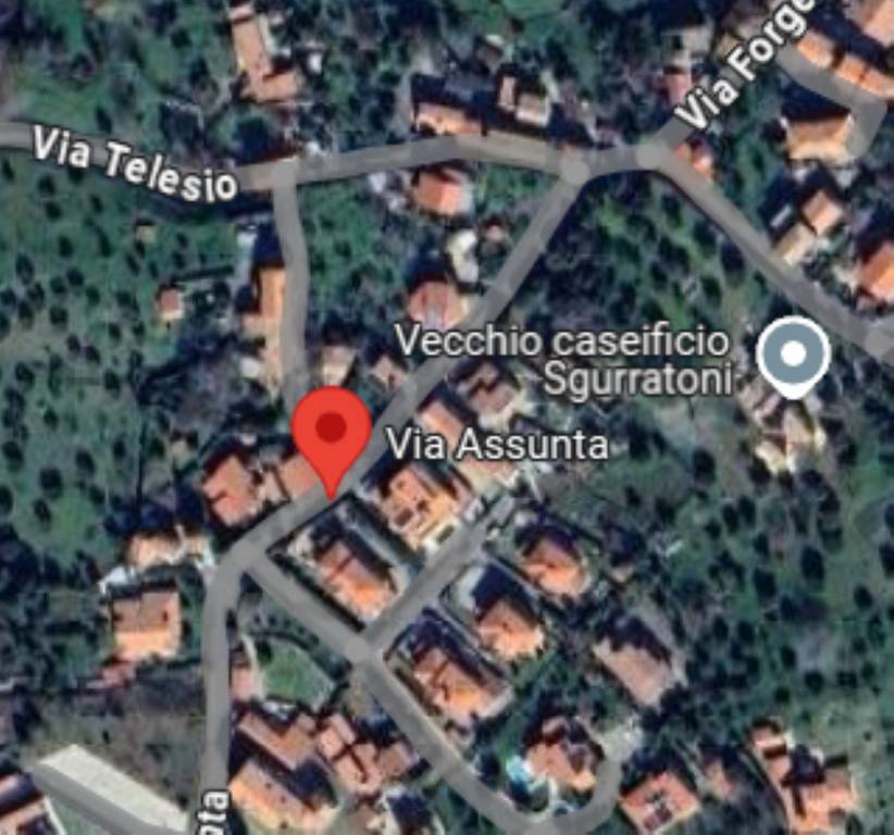 immagine annuncio 5 di 11