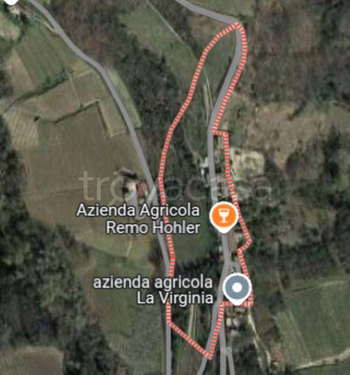 immagine annuncio 10 di 12