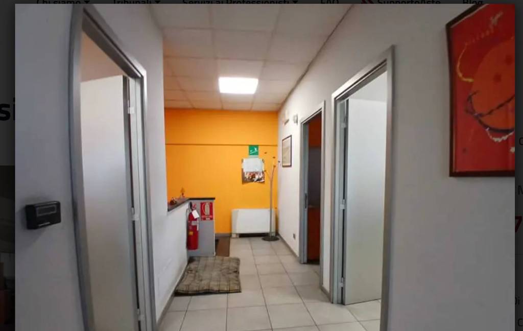 immagine annuncio 5 di 9