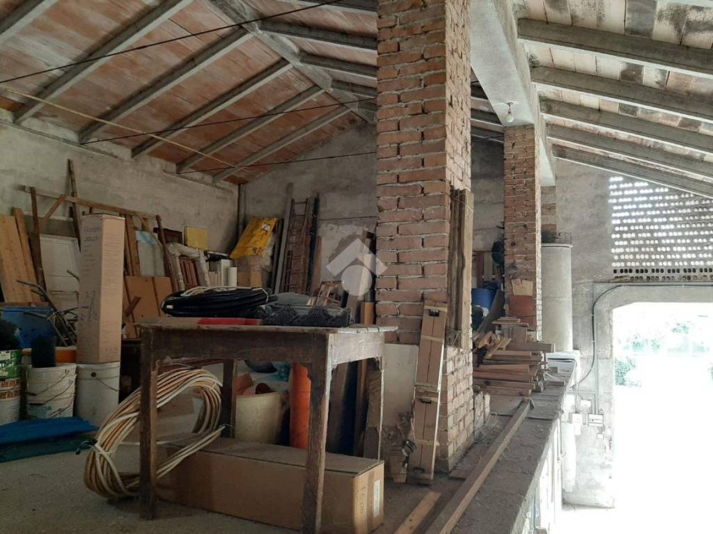 immagine annuncio 9 di 14