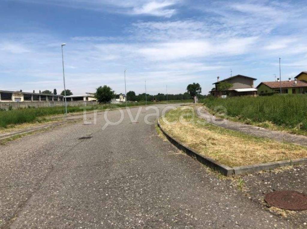 immagine annuncio 5 di 12