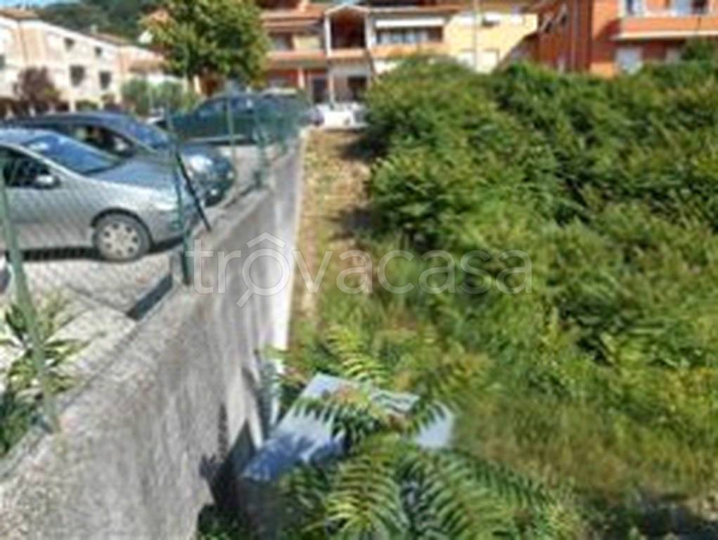 immagine annuncio 10 di 11