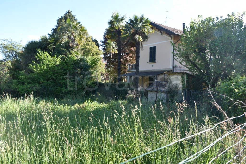 immagine annuncio 2 di 11