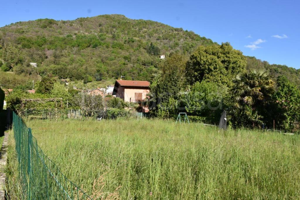 immagine annuncio 3 di 11