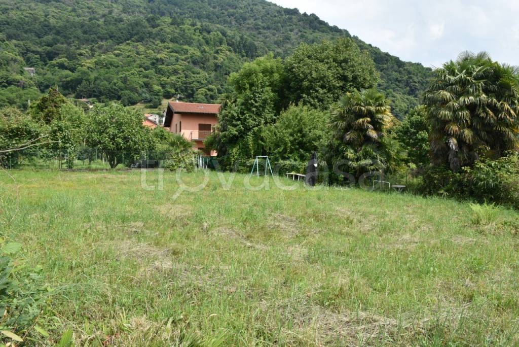 immagine annuncio 6 di 11