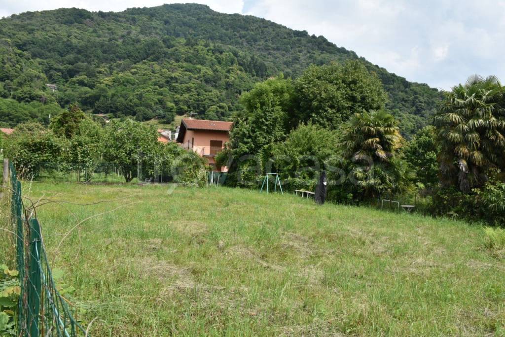 immagine annuncio 8 di 11
