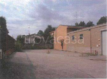 immagine annuncio 6 di 7