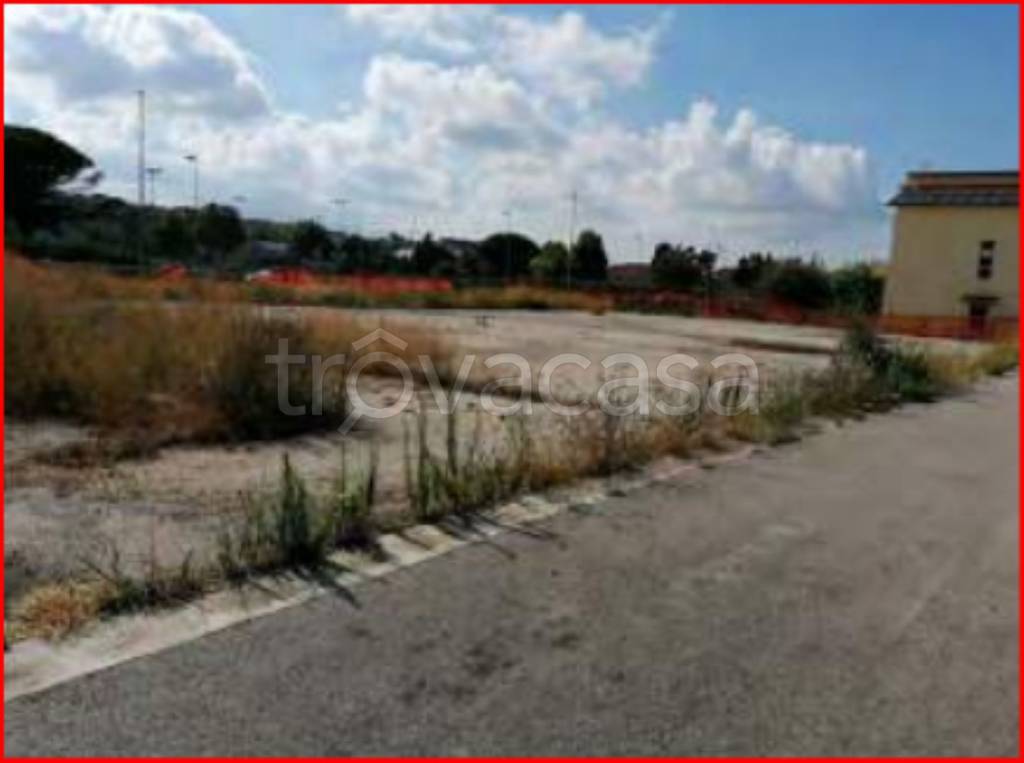 immagine annuncio 3 di 12