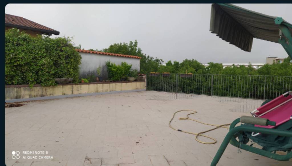 immagine annuncio 3 di 14