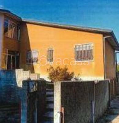 immagine annuncio 1 di 12