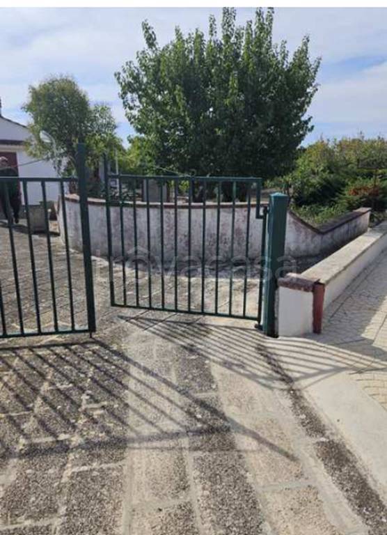 immagine annuncio 12 di 14
