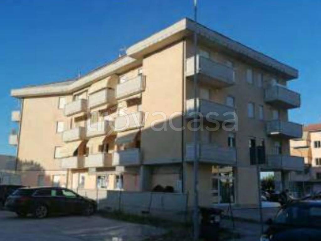 immagine annuncio 4 di 10