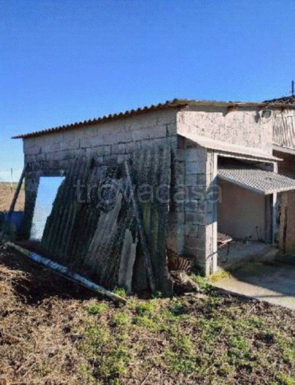 immagine annuncio 7 di 11