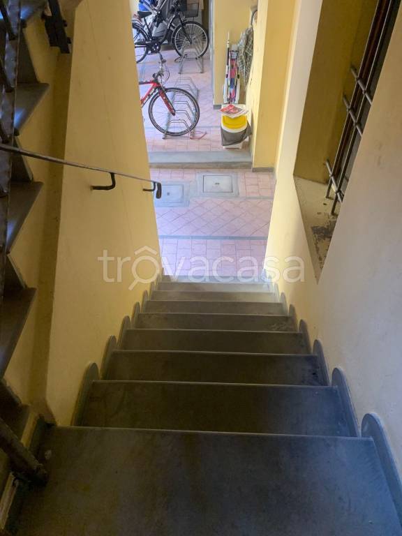 immagine annuncio 9 di 14