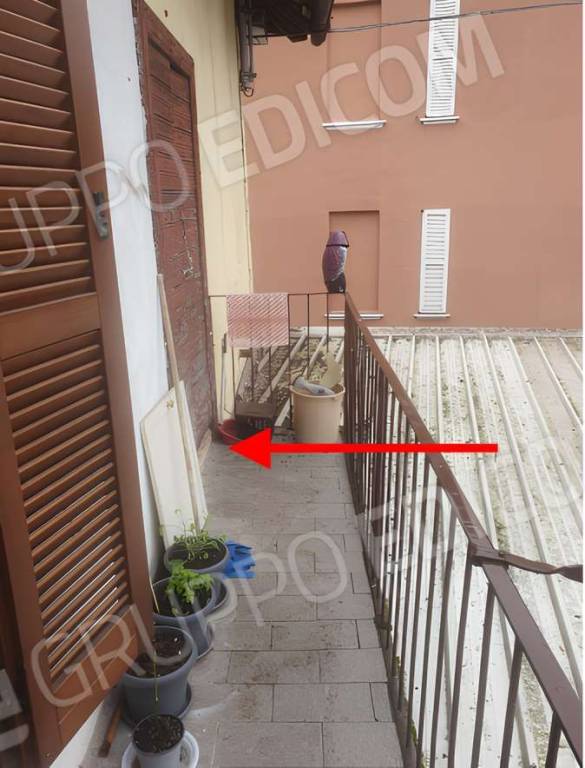 immagine annuncio 5 di 6