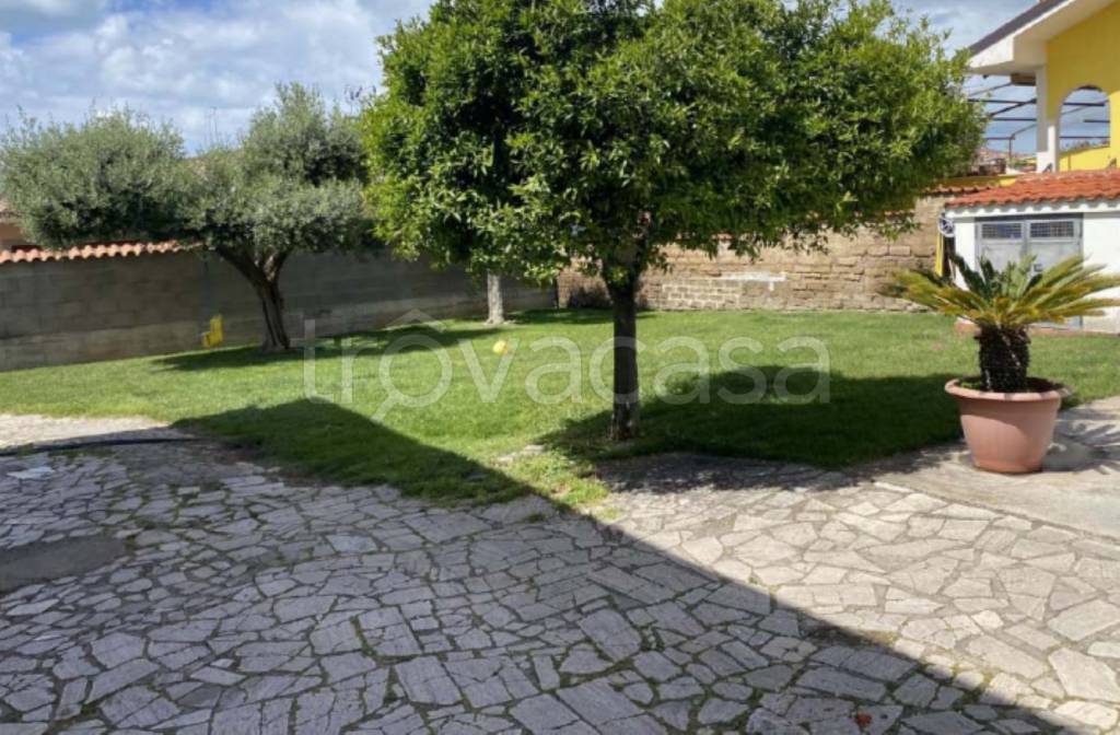 immagine annuncio 10 di 13