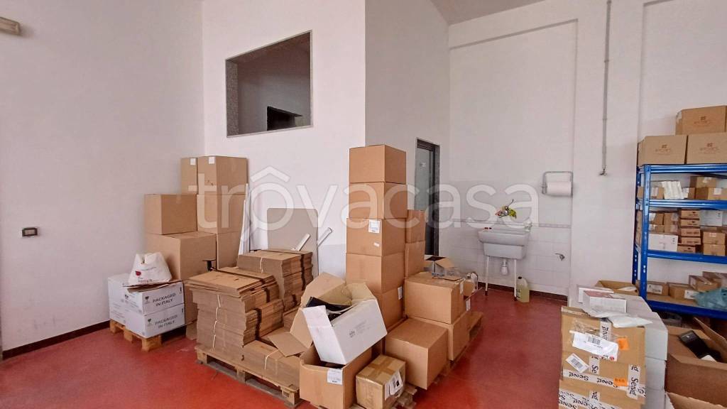 immagine annuncio 6 di 11