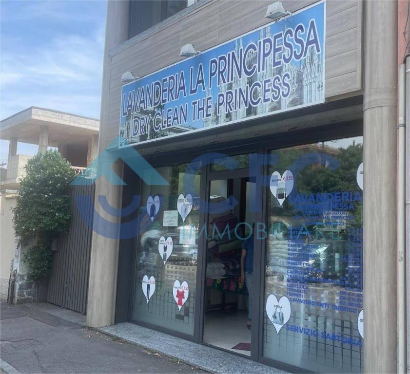 immagine annuncio 3 di 10