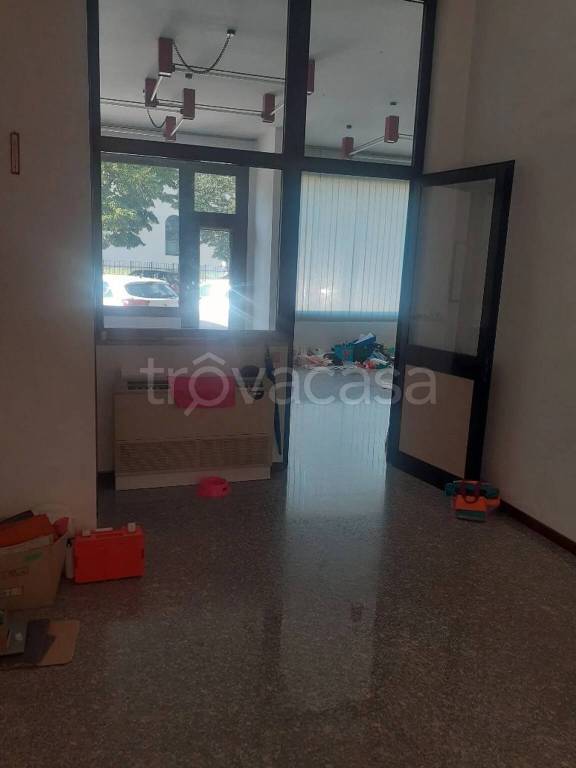 immagine annuncio 2 di 14