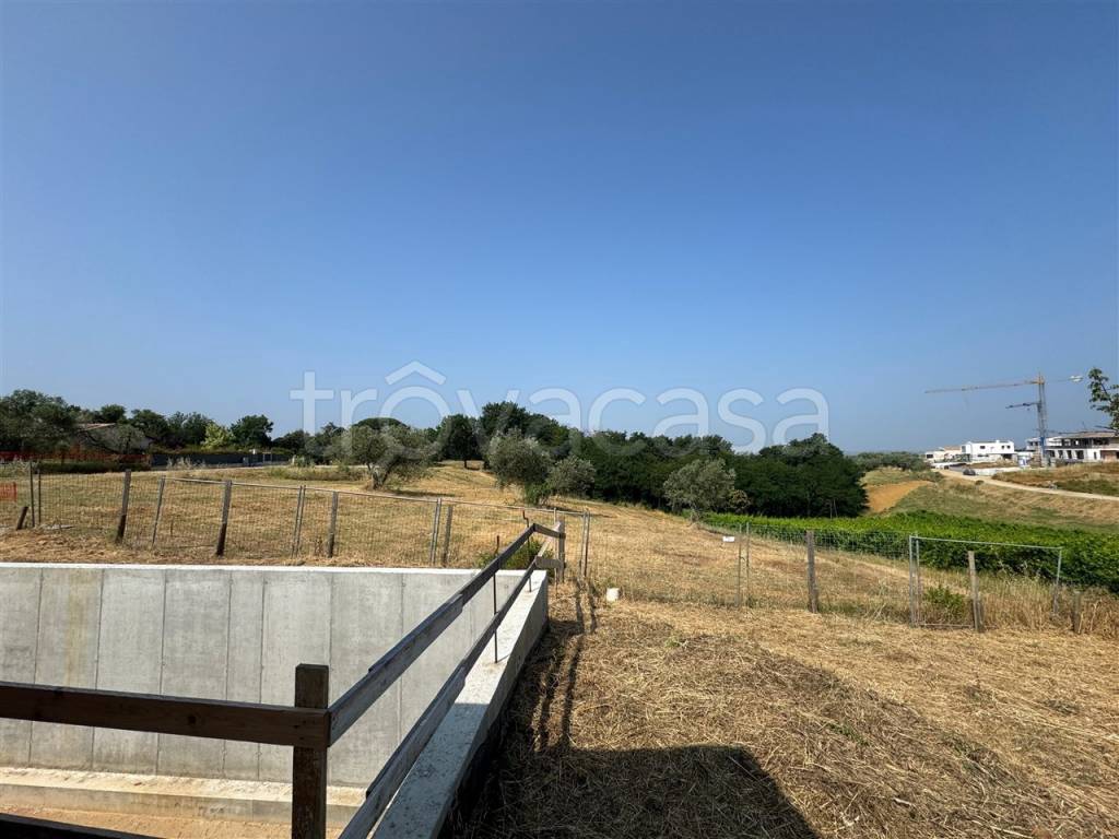 immagine annuncio 5 di 12