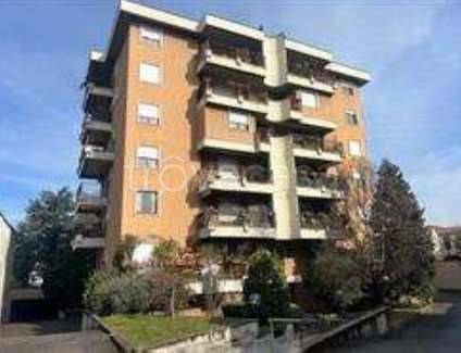 immagine annuncio 1 di 14