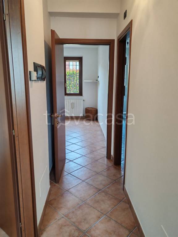 immagine annuncio 11 di 14
