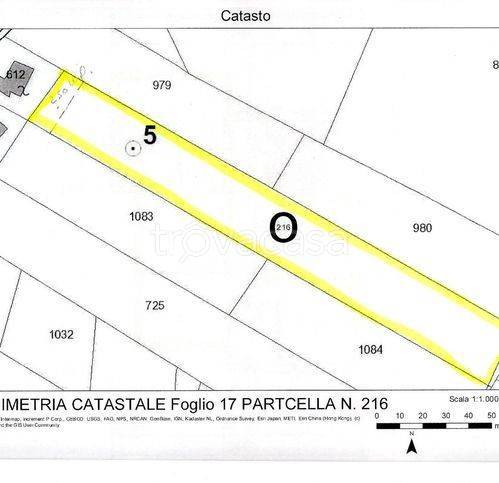 immagine annuncio 1 di 8
